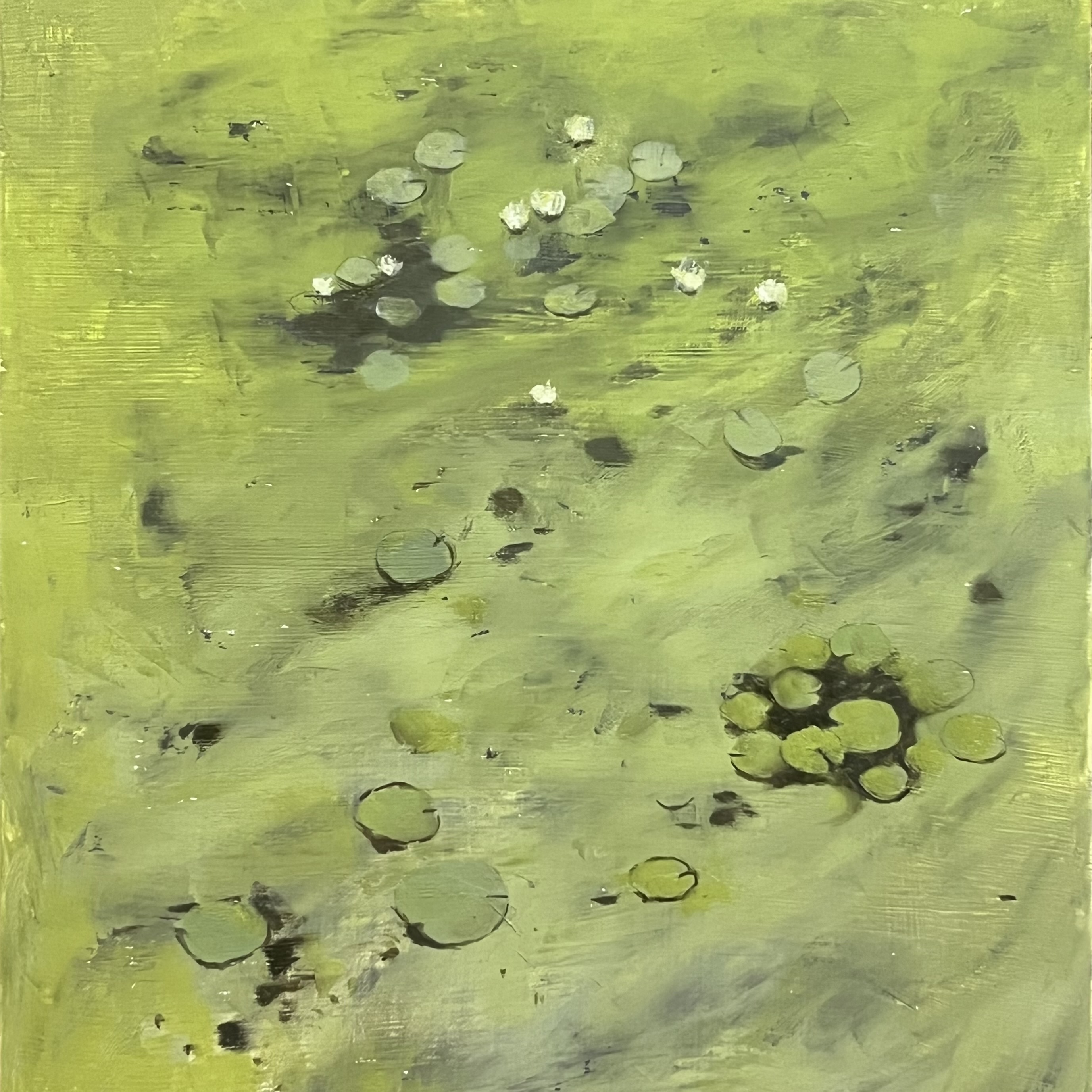 Duckweed and Water Lily
